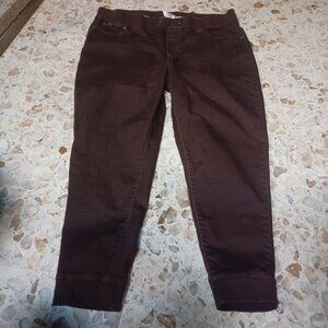 DG2 Women's Stretchy Short Pants XL Brown
